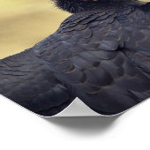 Californische condor poster (Hoek)