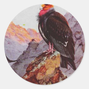"Californische condor" Ronde Sticker