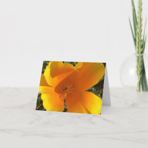 Californische Gouden Papaver - 2 Bedankkaart