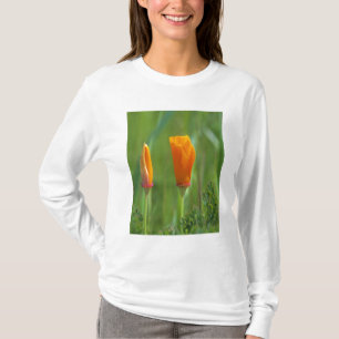 Californische gouden papavers in een groen veld t-shirt