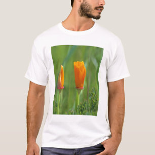 Californische gouden papavers in een groen veld t-shirt