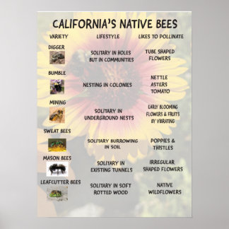 Californische inheemse bijen poster