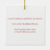 Californische kleuren 2020 keramisch ornament (Achterkant)