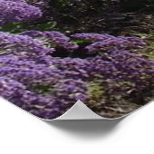 Californische kustlijn Prints (Hoek)