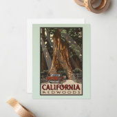  Californische kustmammoetreizen Notitiekaartje (Voorkant / Achterkant in situ)