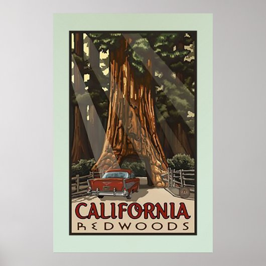  Californische kustmammoetreizen Poster (Voorkant)
