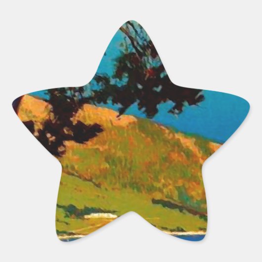  Californische kustvaart Ster Sticker (Voorkant)