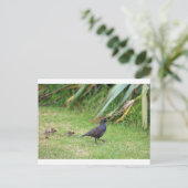 Californische kwartel briefkaart (Staand voorkant)