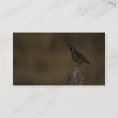 Californische kwartel visitekaartje (Achterkant)