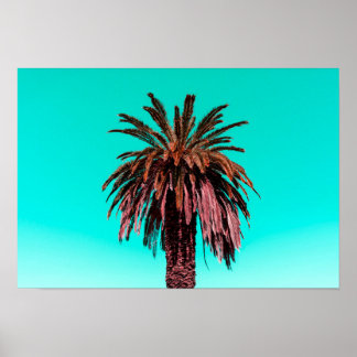 Californische palmboom poster