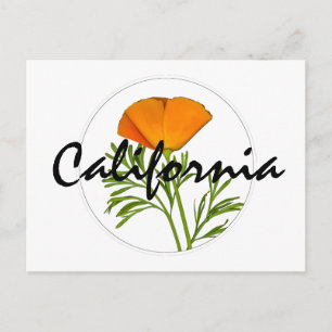 Californische pap in een Cirkel, 'Californische' t Briefkaart