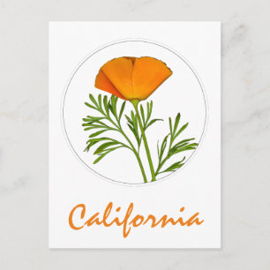 Californische pap in een Cirkel, 'Californische' t Briefkaart
