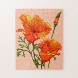 Californische papaver legpuzzel