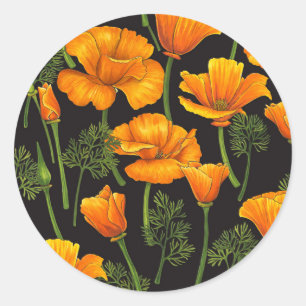 Californische papaver ronde sticker