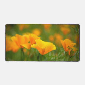 Californische papaver veld van Oranje papaver Bureaumat