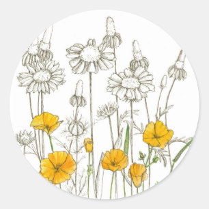 Californische papaver Wildflower Ink Tekening Ronde Sticker