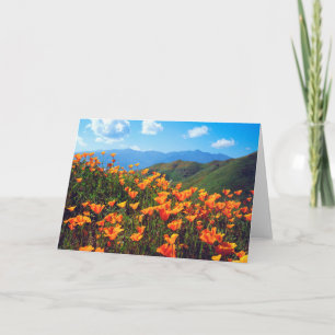 Californische papavers voor een heuvel kaart