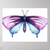 Californische pijpbloemvlinder poster (Voorkant)