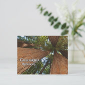 Californische sequoia's - Big Trees Briefkaart  (Staand voorkant)