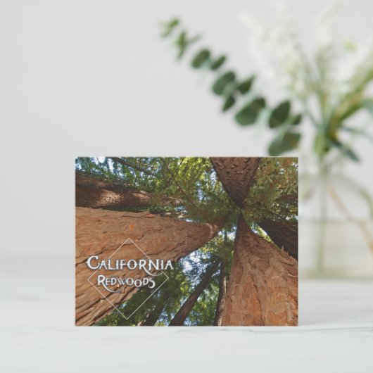 Californische sequoia's - Big Trees Briefkaart  (Staand voorkant)