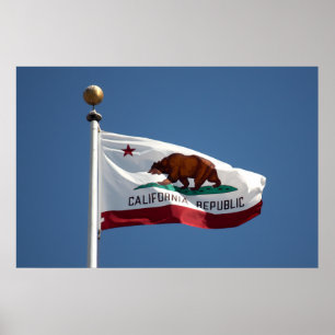 Californische vlag poster