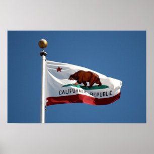 Californische vlag poster