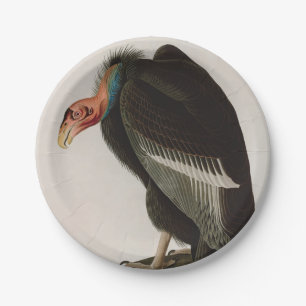 Californische Vulture Birds of America Audubon Pri Papieren Bordje