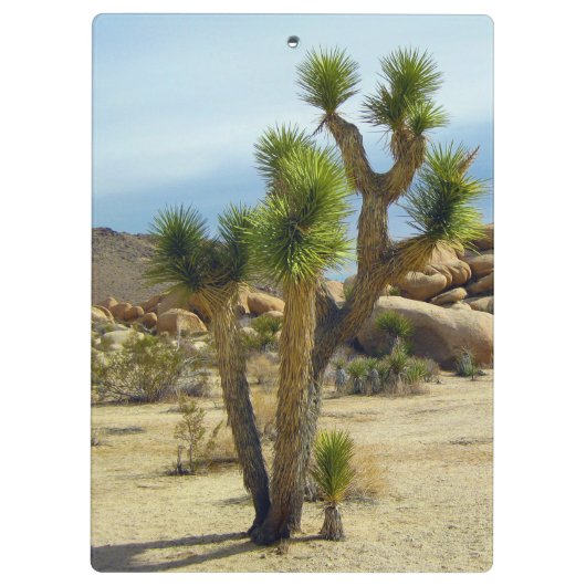 Californische woestijn Succulents, Rocks & Clear S Klembord (Achterkant)