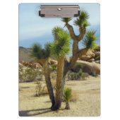 Californische woestijn Succulents, Rocks & Clear S Klembord (Voorkant)