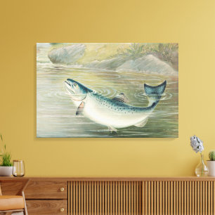 Californische zalm door S.A. Kilbourne, Vintage vi Canvas Afdruk