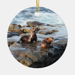 Californische zee leeuwen, wilde dieren, keramisch ornament