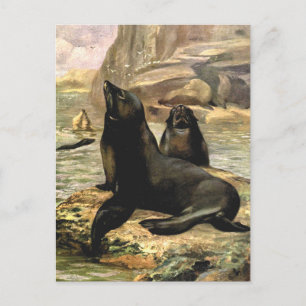  Californische Zee Lions door CE Swan Briefkaart