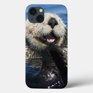 Californische zeeotter (Enhydra lutris) verzorgt z iPhone 13 Hoesje