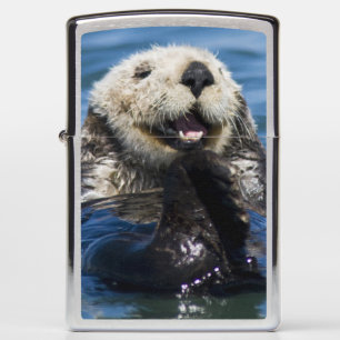 Californische Zeeotter Enhydra lutris) verzorgt zi