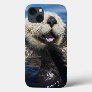 Californische zeeotter Enhydra lutris) verzorgt zi iPhone 13 Hoesje