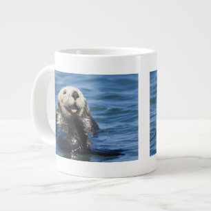 Californische Zeeotter Enhydra lutris) verzorgt zi Extra Grote Mok