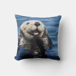 Californische Zeeotter Enhydra lutris) verzorgt zi Kussen