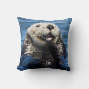 Californische Zeeotter Enhydra lutris) verzorgt zi Kussen