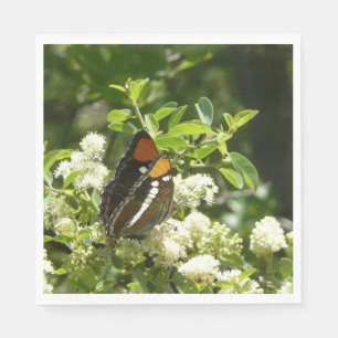 Californische zuster Butterfly in Yosemite Servet