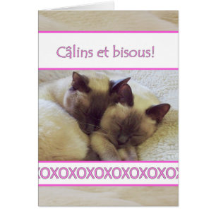 Câlins et bisous, Hugs and kisses in het Frans