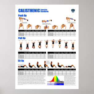 Calisthenische normen poster