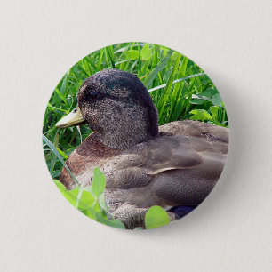 Call Duck Drake Ronde Button 5,7 Cm