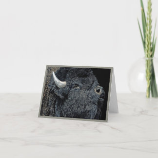 "Call of the Prairie" - Bison Kaart