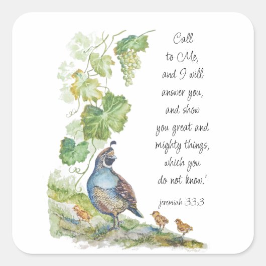 Call to Me Scripture Inspiration California Quail  Vierkante Sticker (Voorkant)