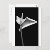 Calla #5 briefkaart (Voorkant / Achterkant)