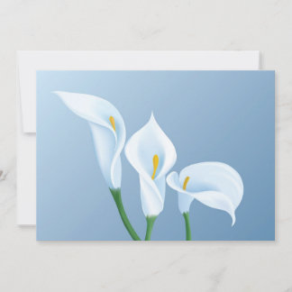 Calla-bloemen