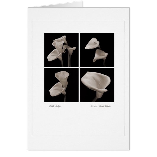 Calla_collage_2007_Brochure (Devant)