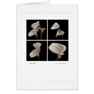 Calla_collage_2007_Brochure 2010