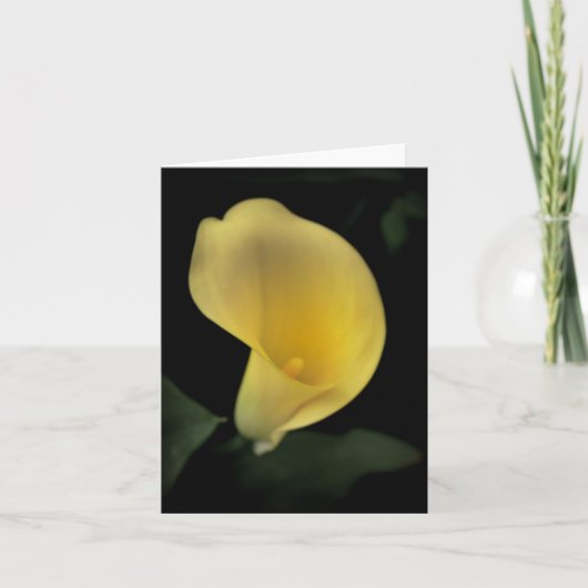 Calla de Kaart van de Lelie (Voorkant)