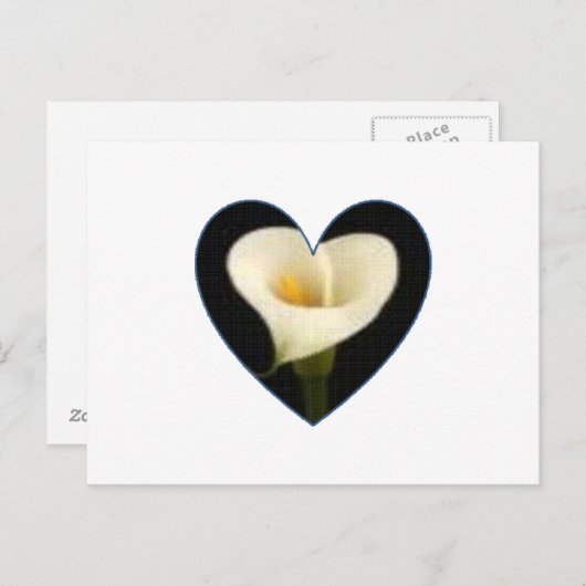 Calla het Briefkaart van het Hart van de Lelie (Voorkant / Achterkant)